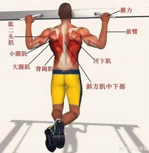 室內(nèi)健身磚 室內(nèi)健身磚